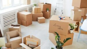Packers and Movers Noida