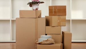 Packers and Movers Sector 18 Noida